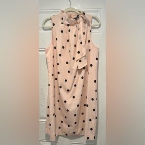 Anne Taylor Factory Dress